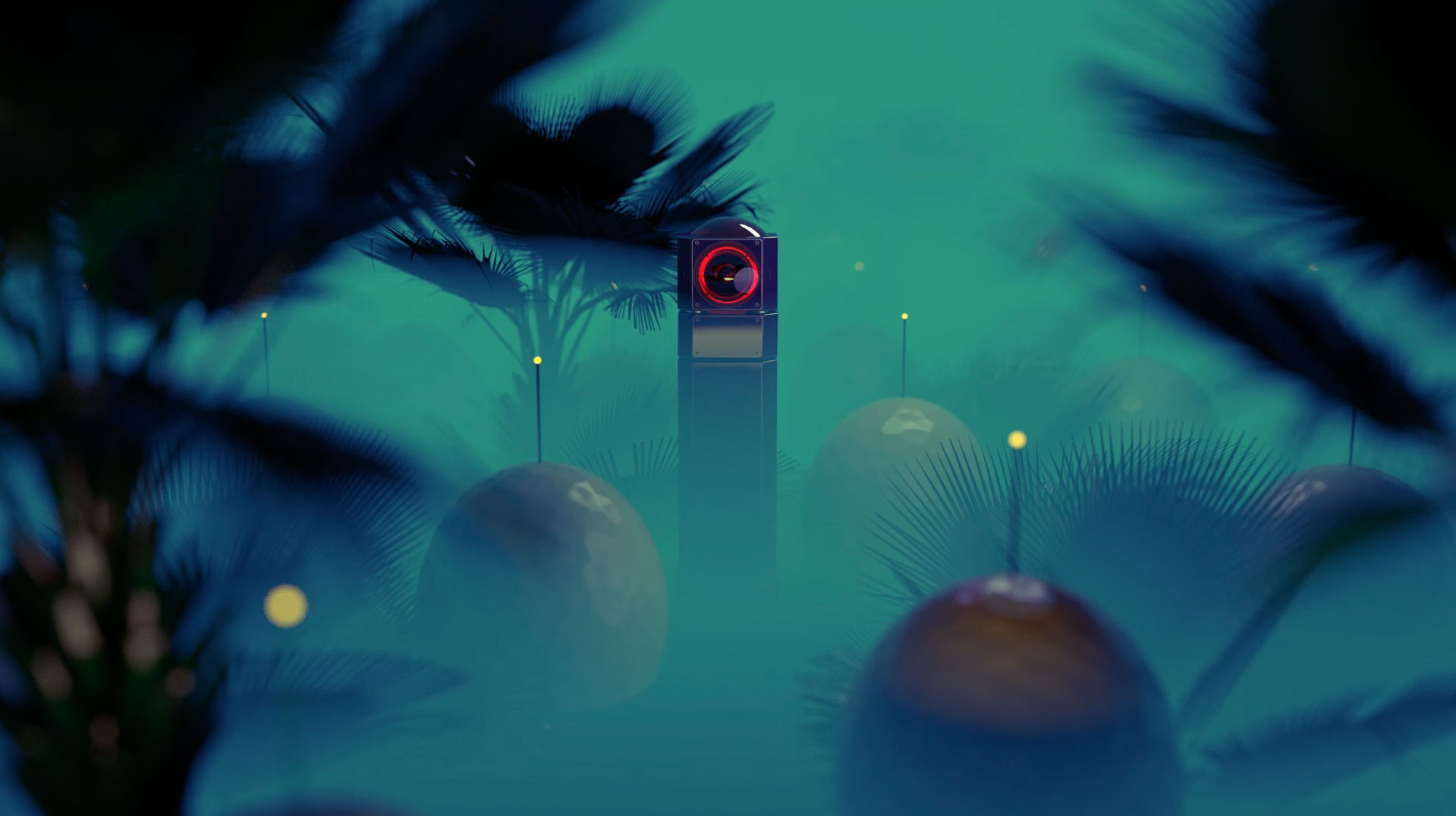 REEL_preview_03